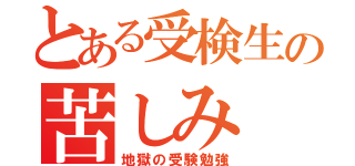 とある受検生の苦しみ（地獄の受験勉強）