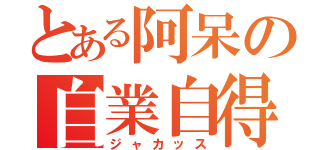 とある阿呆の自業自得（ジャカッス）