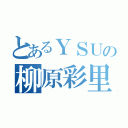 とあるＹＳＵの柳原彩里（）