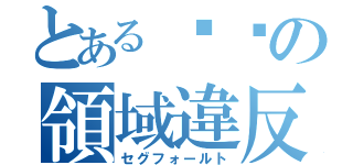 とある██の領域違反（セグフォールト）