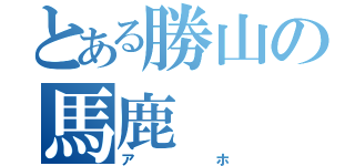 とある勝山の馬鹿（アホ）