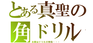 とある真聖の角ドリル（お前はドリルの存在・・・）