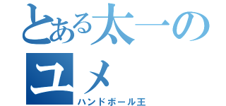 とある太一のユメ（ハンドボール王）