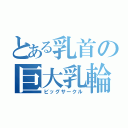 とある乳首の巨大乳輪（ビッグサークル）