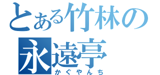 とある竹林の永遠亭（かぐやんち）