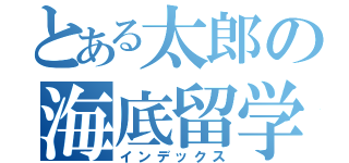 とある太郎の海底留学（インデックス）