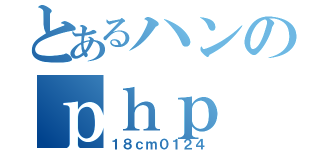 とあるハンのｐｈｐ（１８ｃｍ０１２４）