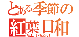 とある季節の紅葉日和（秋よ、いろどれ！）