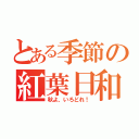 とある季節の紅葉日和（秋よ、いろどれ！）