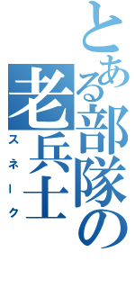 とある部隊の老兵士（スネーク）