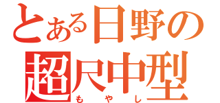 とある日野の超尺中型（もやし）