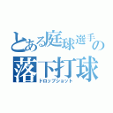 とある庭球選手の落下打球（ドロップショット）