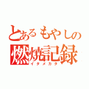 とあるもやしの燃焼記録（イタメカタ）