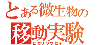 とある微生物の移動実験（ヒカリソウセイ）