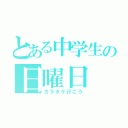 とある中学生の日曜日（カラオケ行こう）