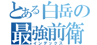 とある白岳の最強前衛（インデックス）