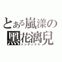 とある嵐漾の黑花漓兒（インデックス）