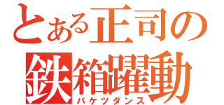 とある正司の鉄箱躍動（バケツダンス）