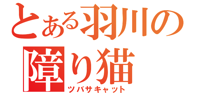 とある羽川の障り猫（ツバサキャット）