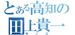 とある高知の田上貴一（キノコ）