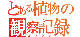 とある植物の観察記録（コマツナ）