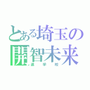 とある埼玉の開智未来（進学校）