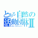 とある自然の活動団体Ⅱ（グループキャンパー）