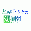 とあるトリケの幼稚園（超モテモテ）