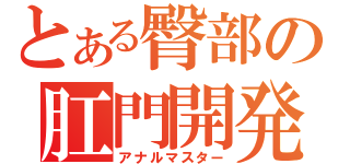 とある臀部の肛門開発（アナルマスター）