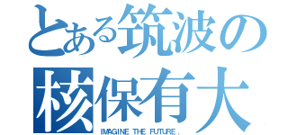 とある筑波の核保有大学（ＩＭＡＧＩＮＥ ＴＨＥ ＦＵＴＵＲＥ ．）