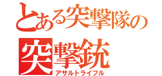 とある突撃隊の突撃銃（アサルトライフル）