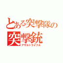 とある突撃隊の突撃銃（アサルトライフル）