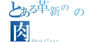 とある革新の傳說の肉鬆（ＳＡｎＬ×Ｔｅａｍ）