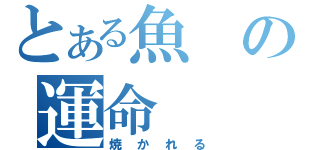 とある魚の運命（焼かれる）