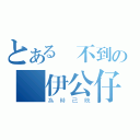 とある訂不到の羅伊公仔（為時已晚）