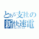 とある支社の新快速電車（ラピッドサービス）