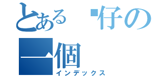 とある傻仔の一個（インデックス）