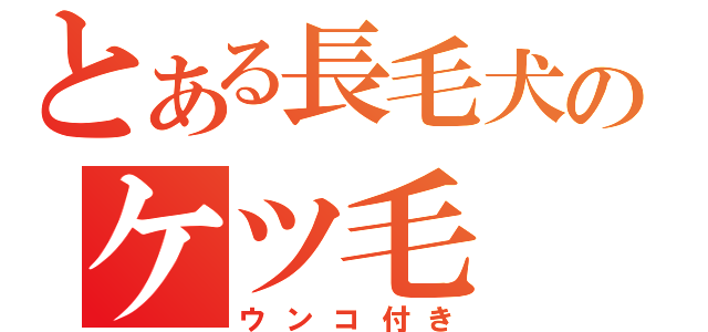 とある長毛犬のケツ毛（ウンコ付き）