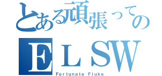 とある頑張ってのＥＬＳＷＯＲＤ（Ｆｏｒｔｕｎａｔｅ Ｆｌｕｋｅ）