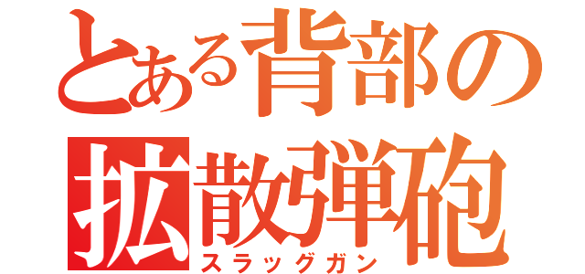 とある背部の拡散弾砲（スラッグガン）