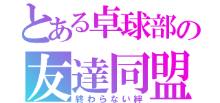 とある卓球部の友達同盟（終わらない絆）