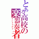 とある高校の楽器奏者Ⅱ（マンドリスト）