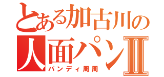 とある加古川の人面パンダⅡ（パンディ周周）