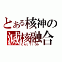 とある核神の滅核融合（ＣＡＵＴＩＯＮ）