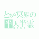 とある冥界の半人半霊（魂魄妖夢）