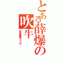 とある薛爆の吹牛（我家網路５０ｍ啊~）