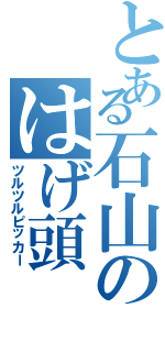 とある石山のはげ頭Ⅱ（ツルツルピッカー）