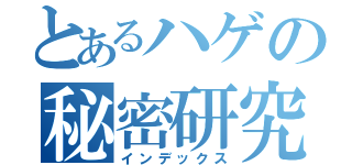 とあるハゲの秘密研究（インデックス）