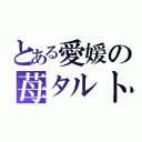 とある愛媛の苺タルト（）