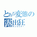 とある変態の露出狂（チンコミテー）